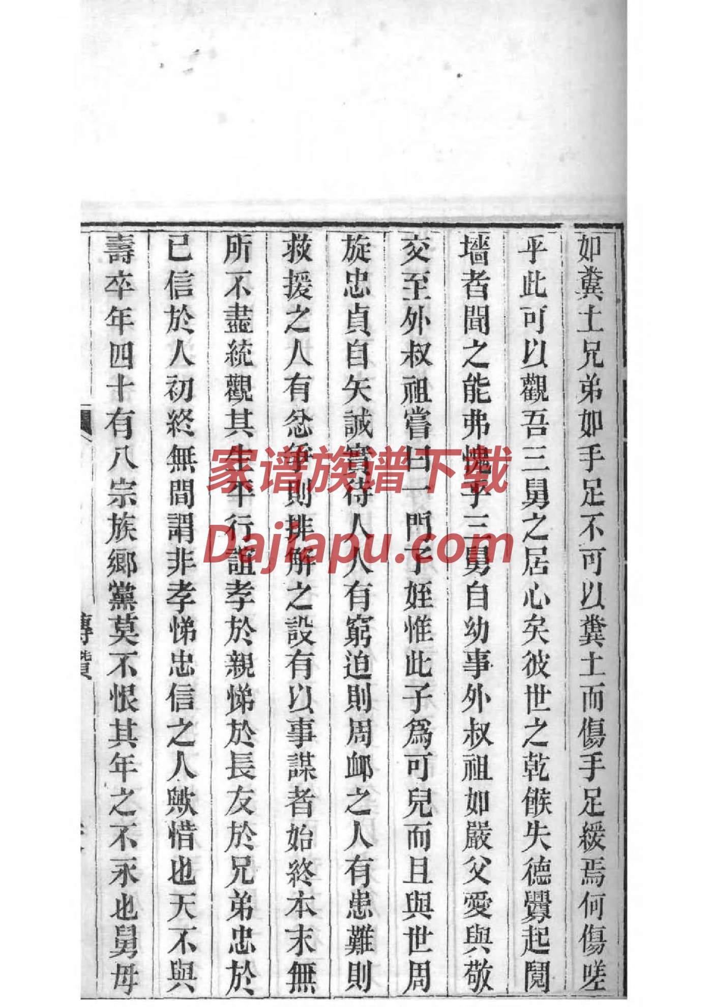 宝塔式家谱