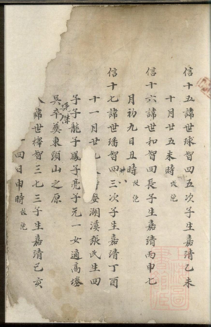 苏氏族谱图片