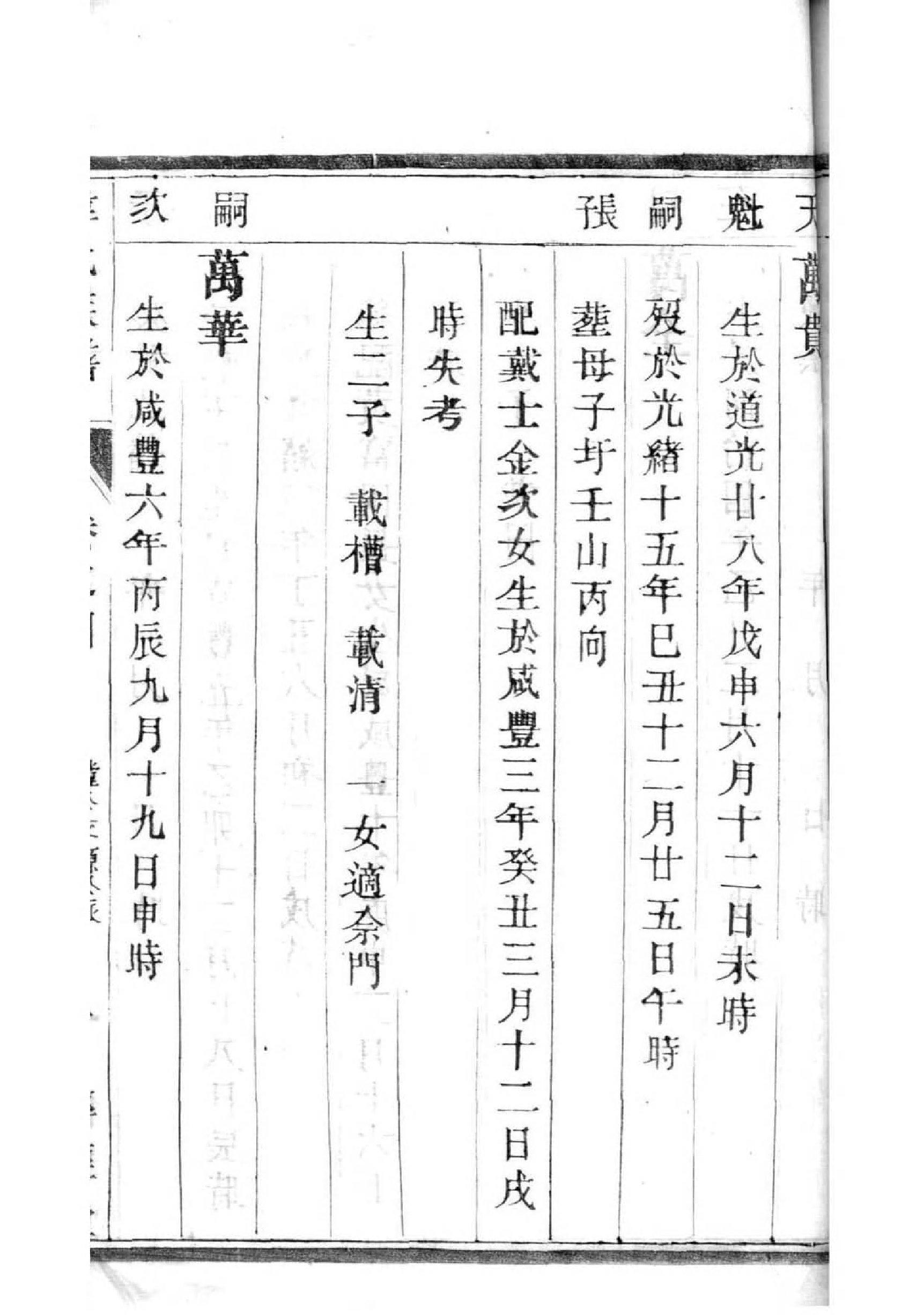 书姓族谱字辈查询全部