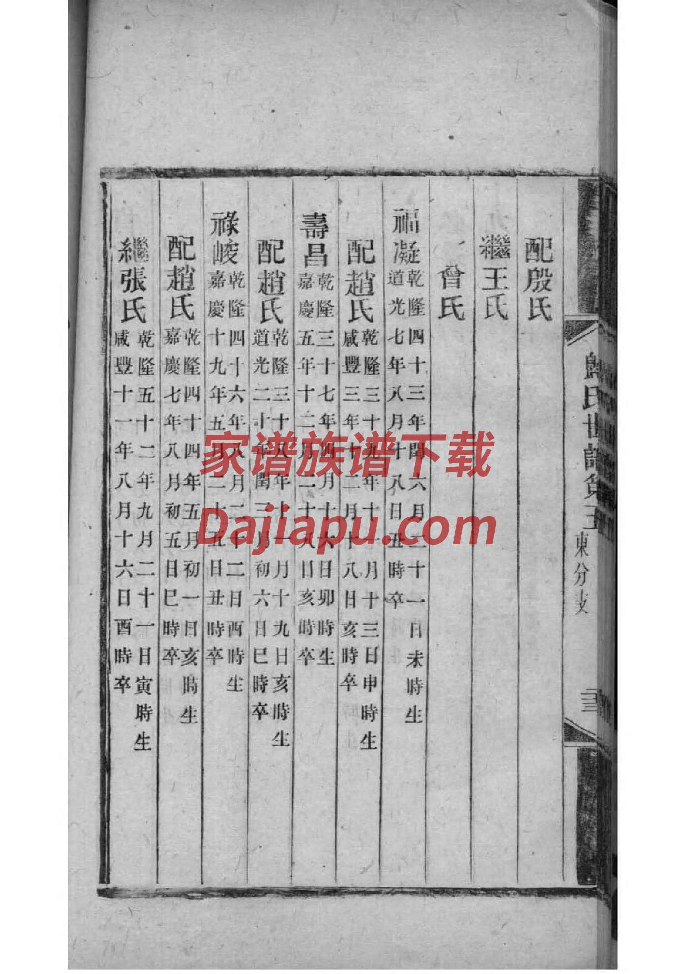 家谱中的凡例
