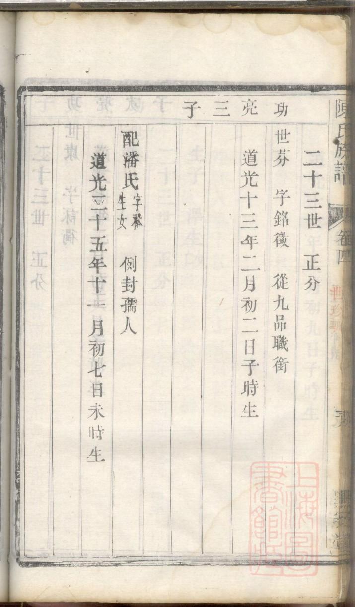 善氏家谱查询一览表