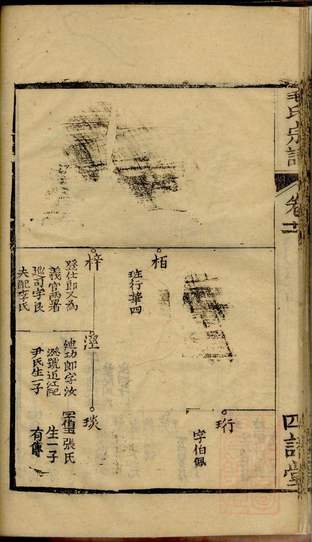 达氏辈分表