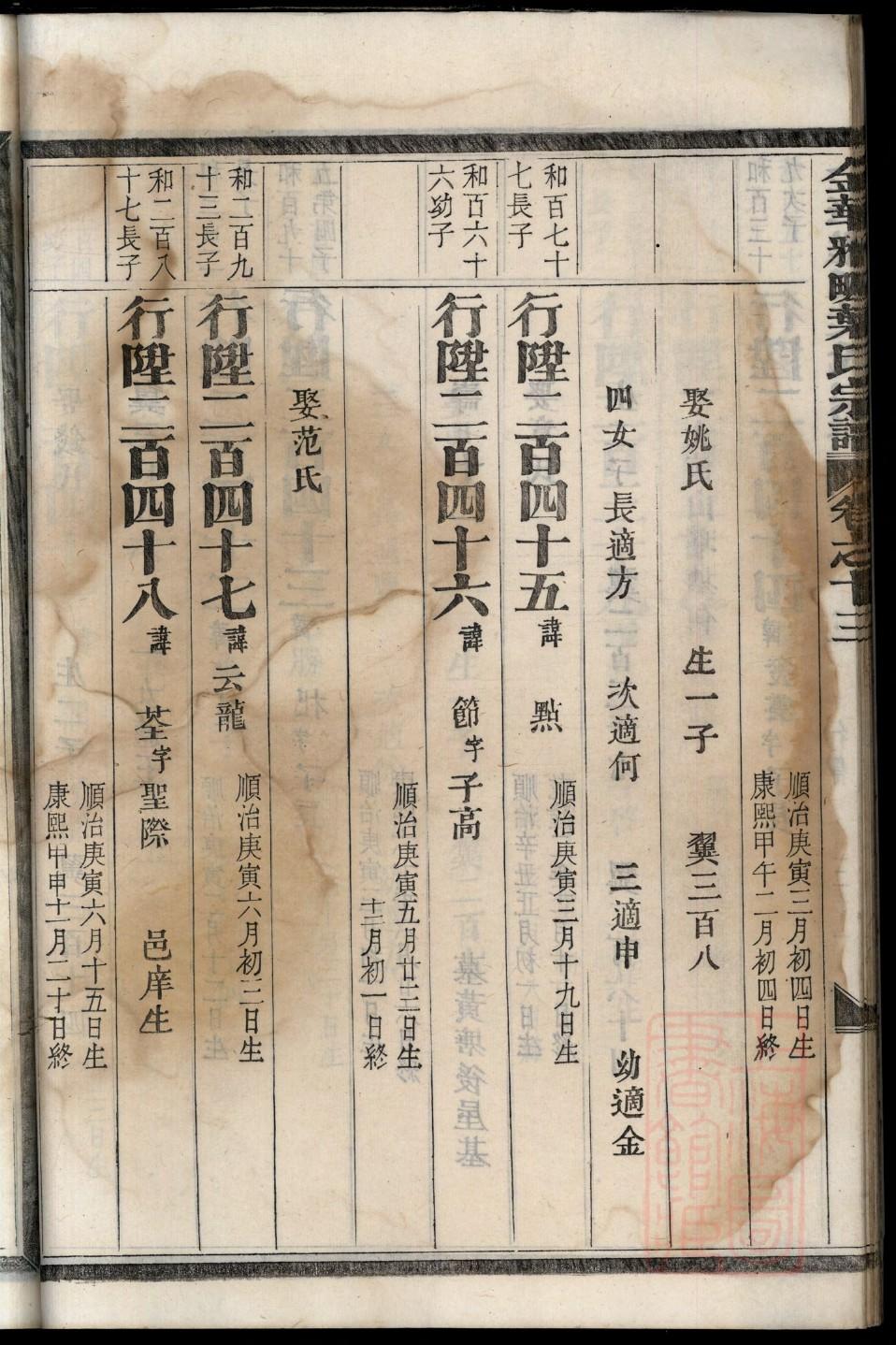 家谱样本图片图库