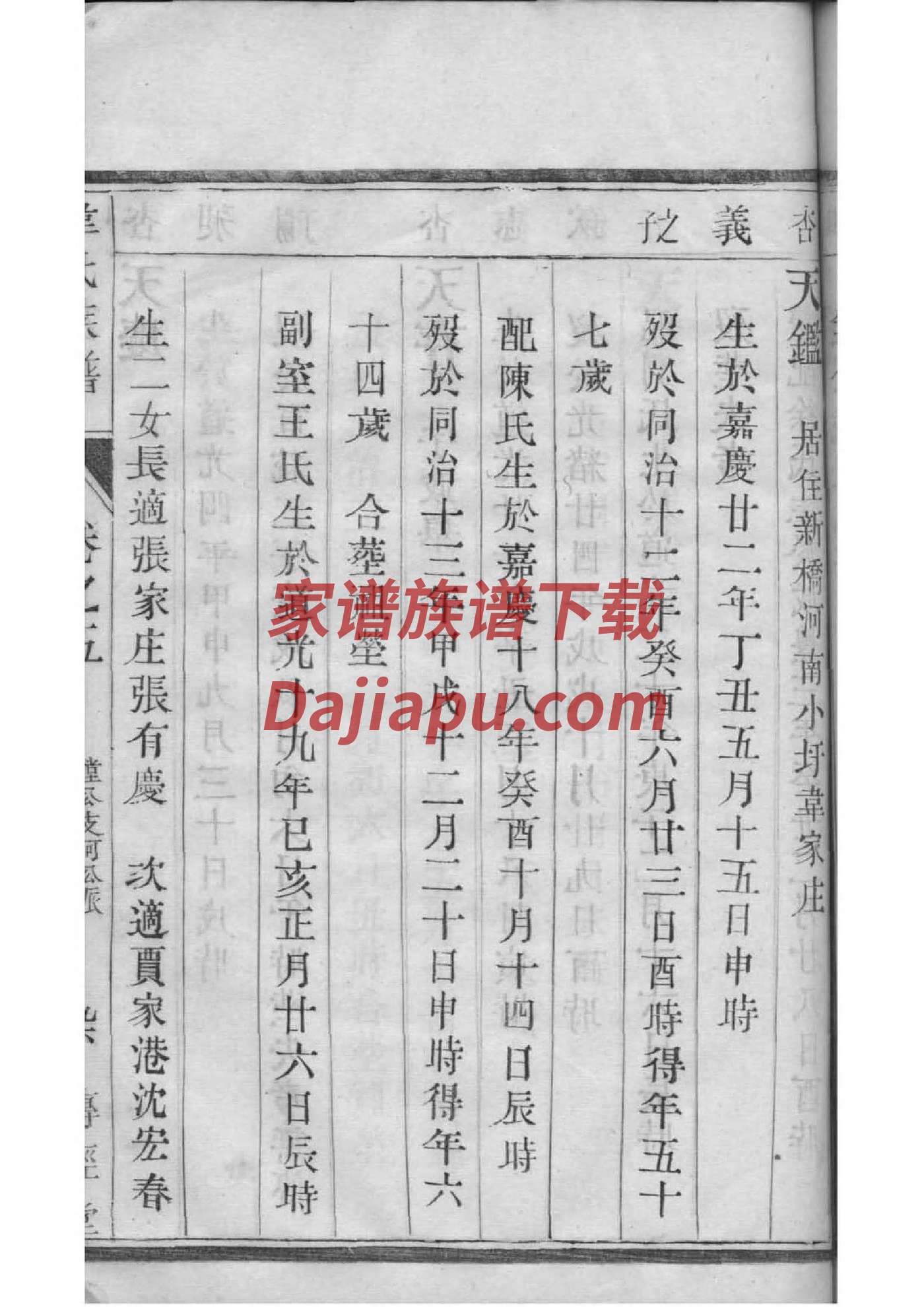 任氏族谱家谱