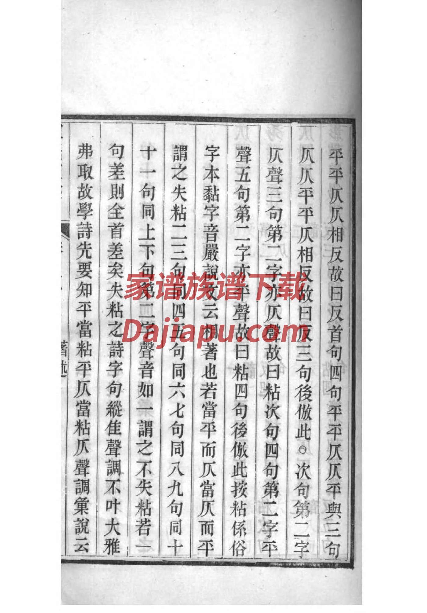 文金道家明立许氏家谱