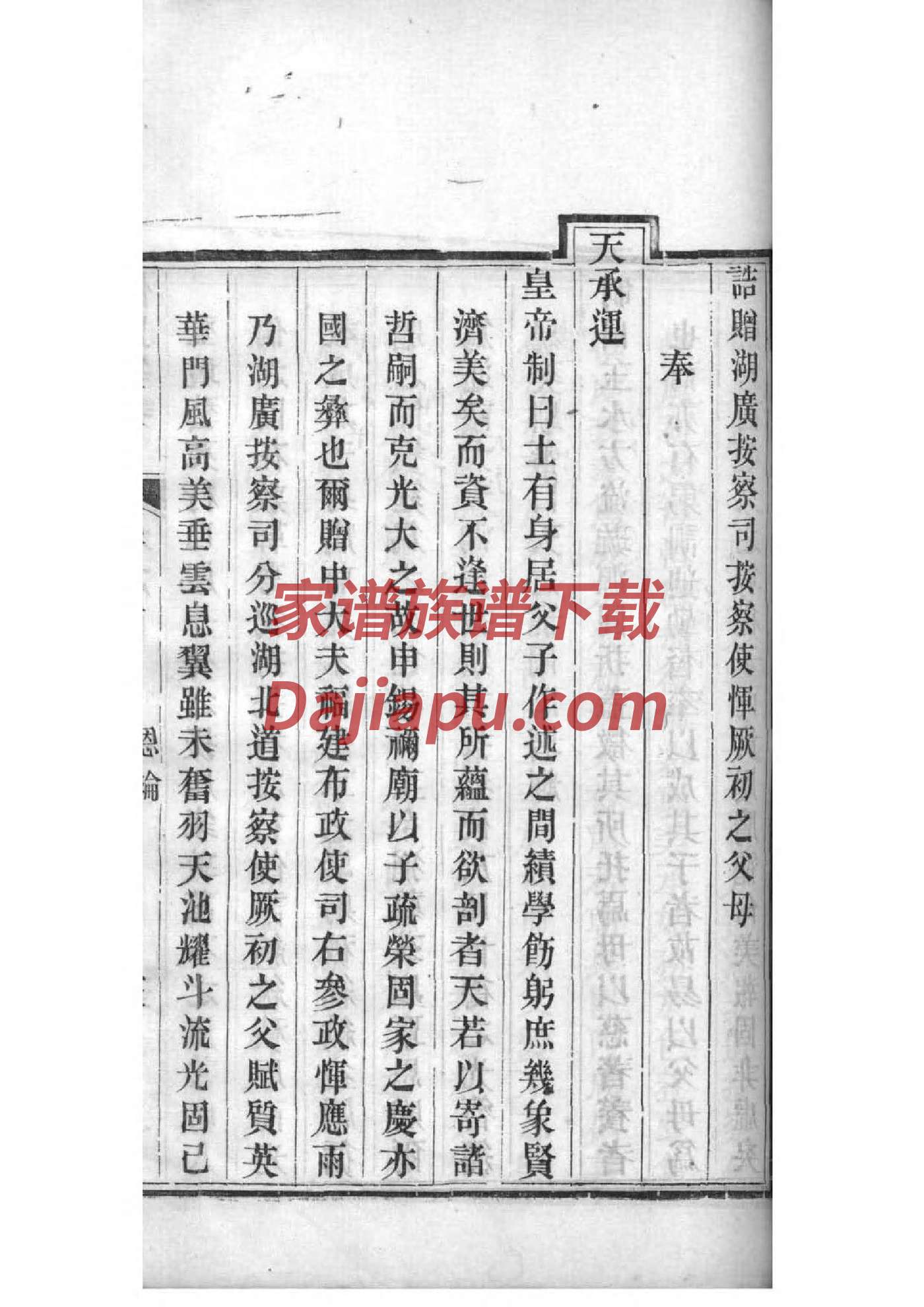 论新家谱之新