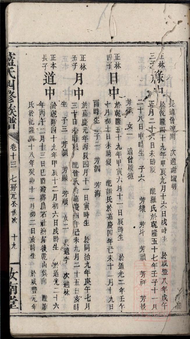 你家的家谱