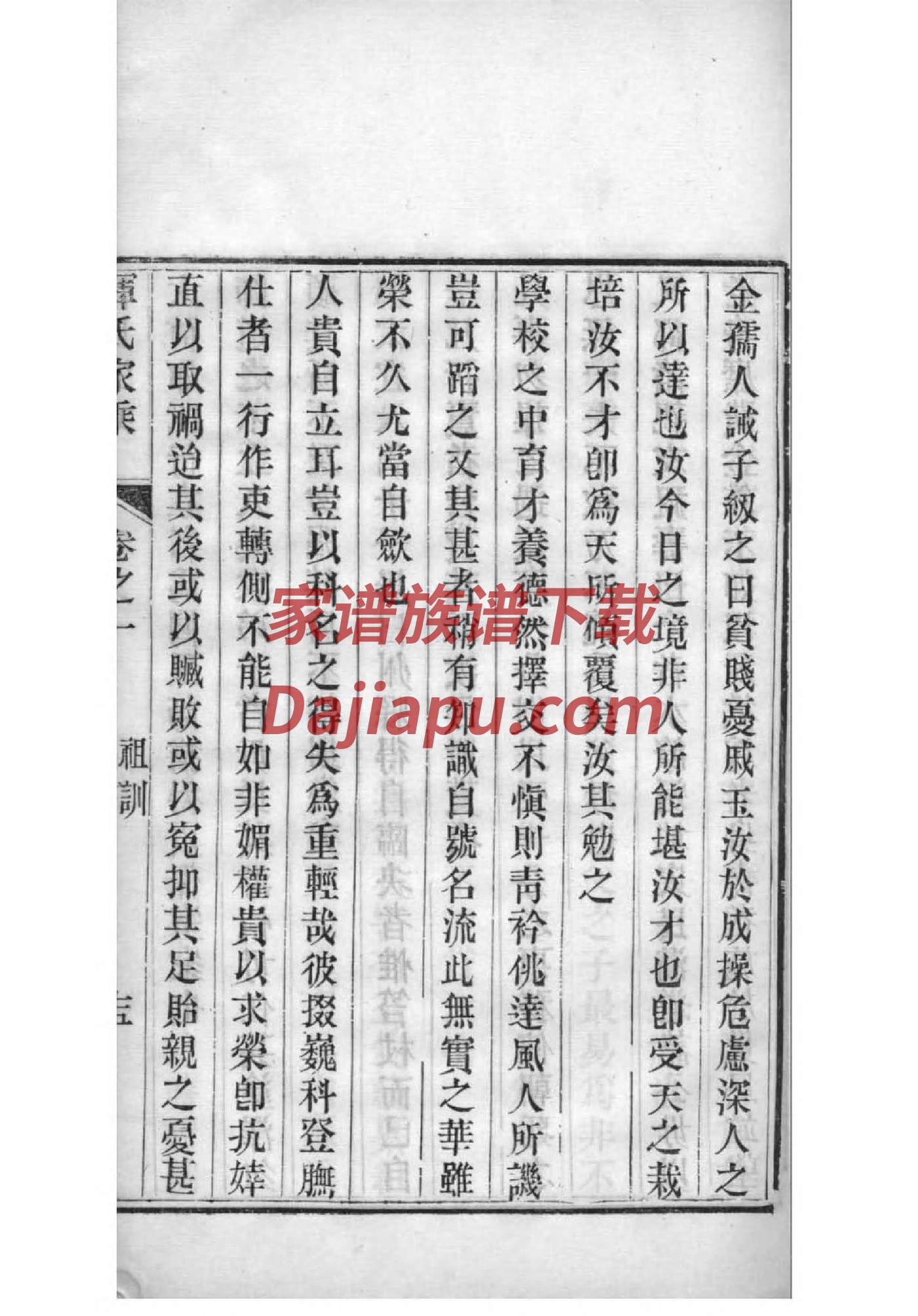 怎么写族谱