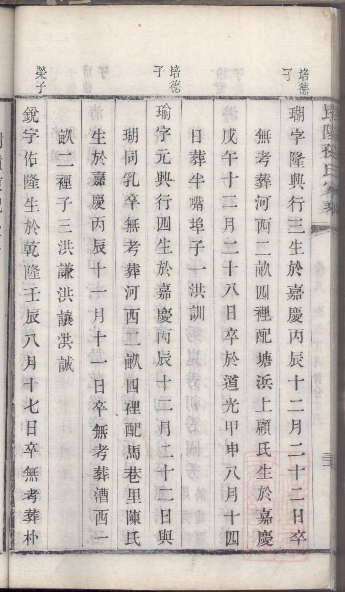 区姓族谱字辈大全