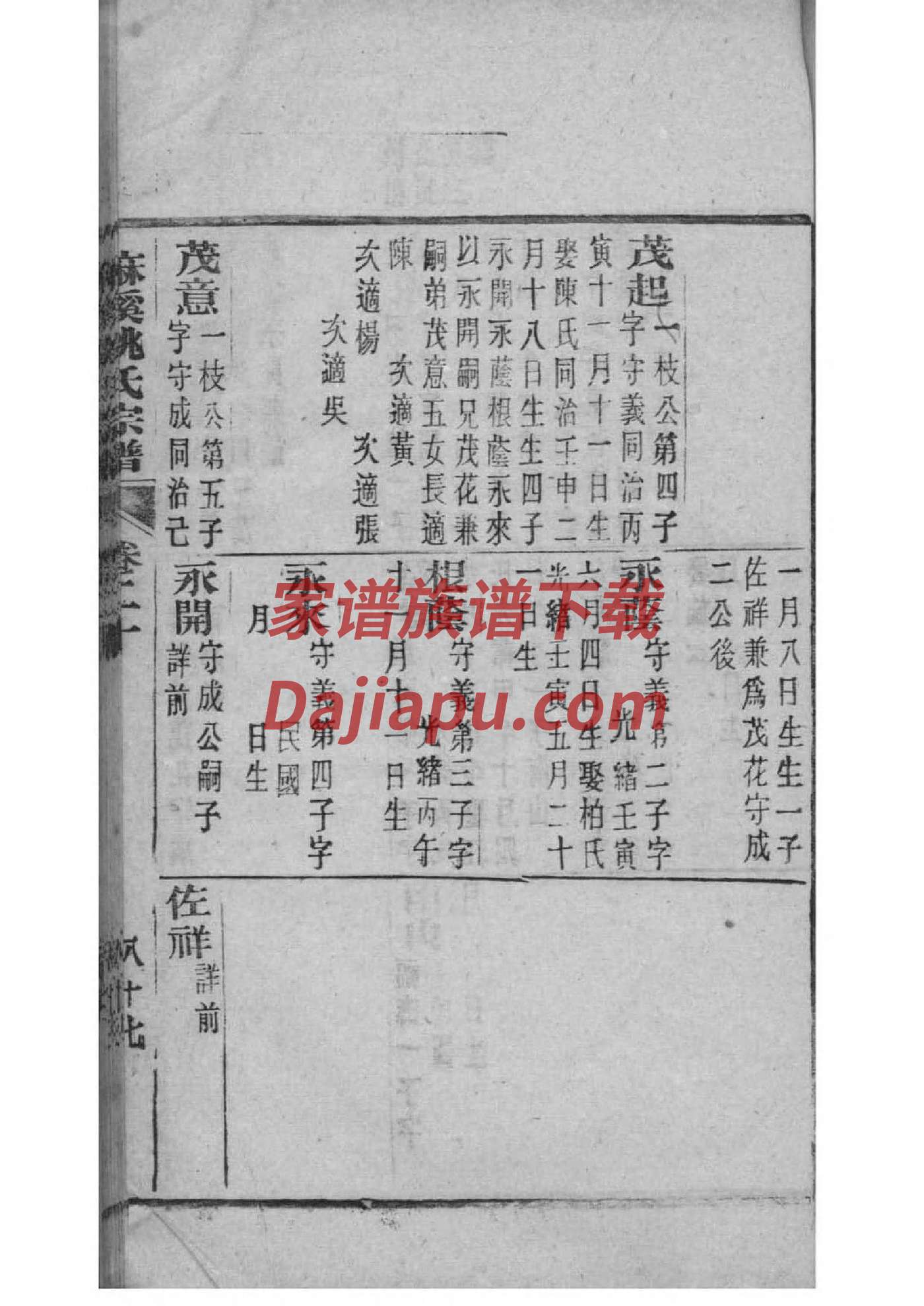 WOORD家谱模板