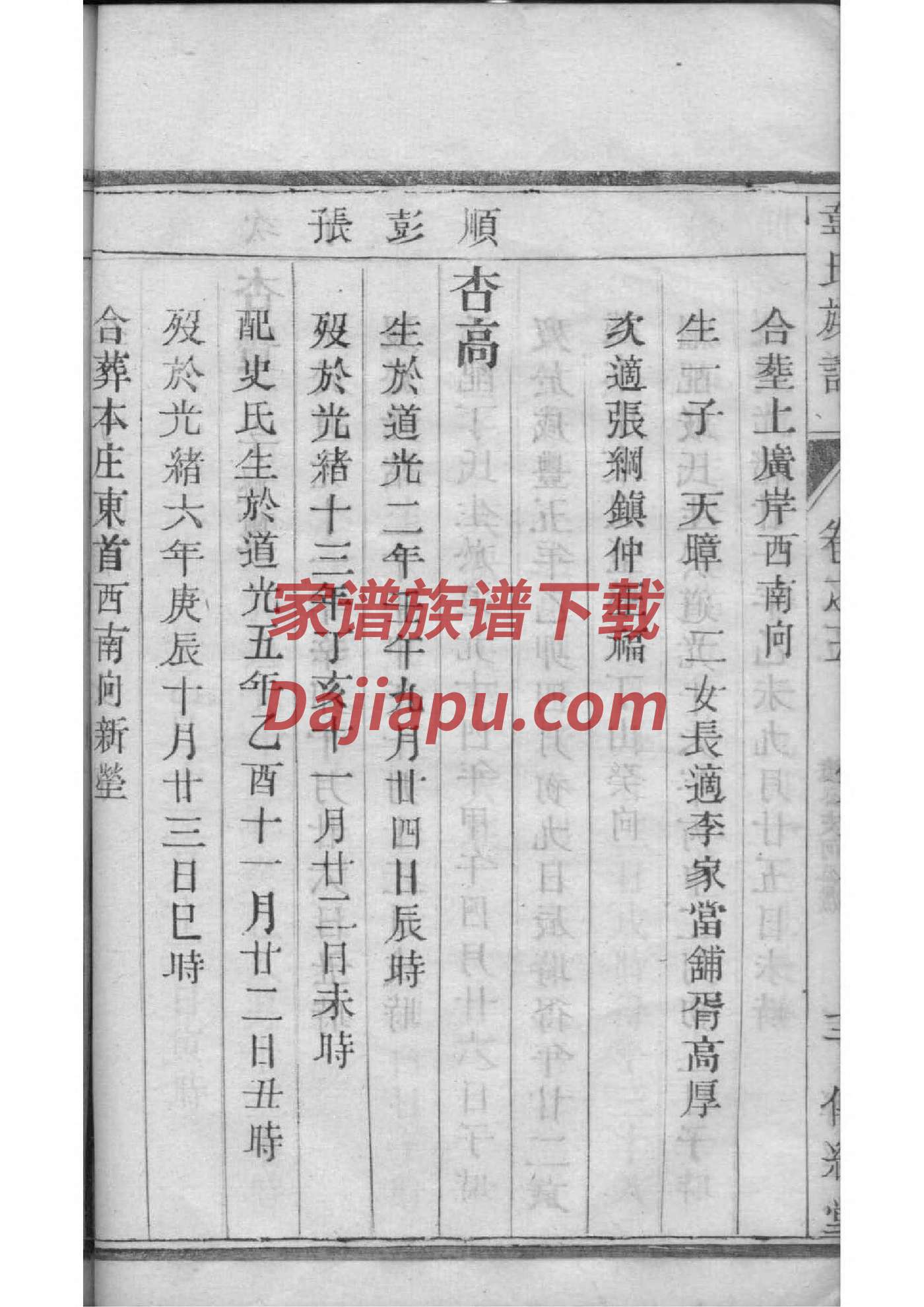 希氏族谱电子版下载阅读