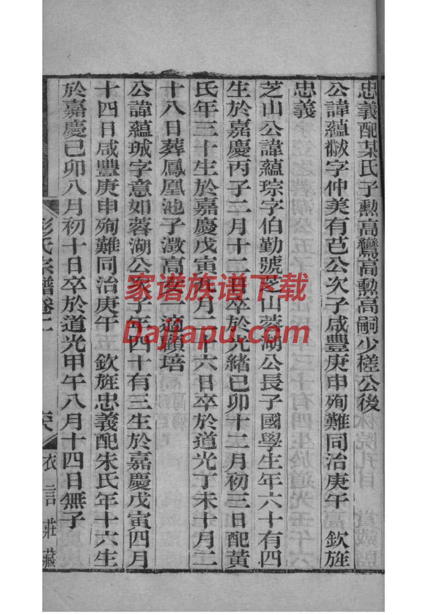 编写家谱