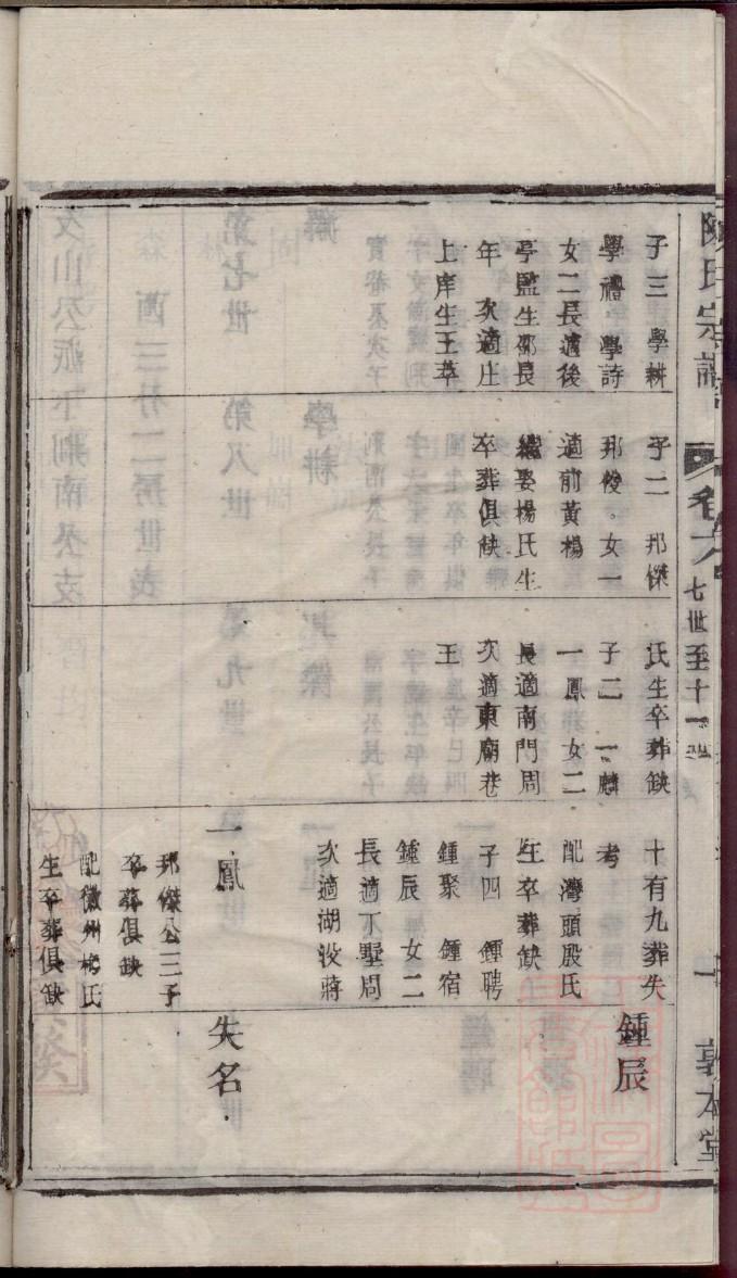 家谱绘画手抄报