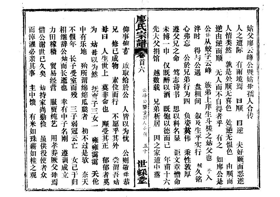 家谱族谱网站源码