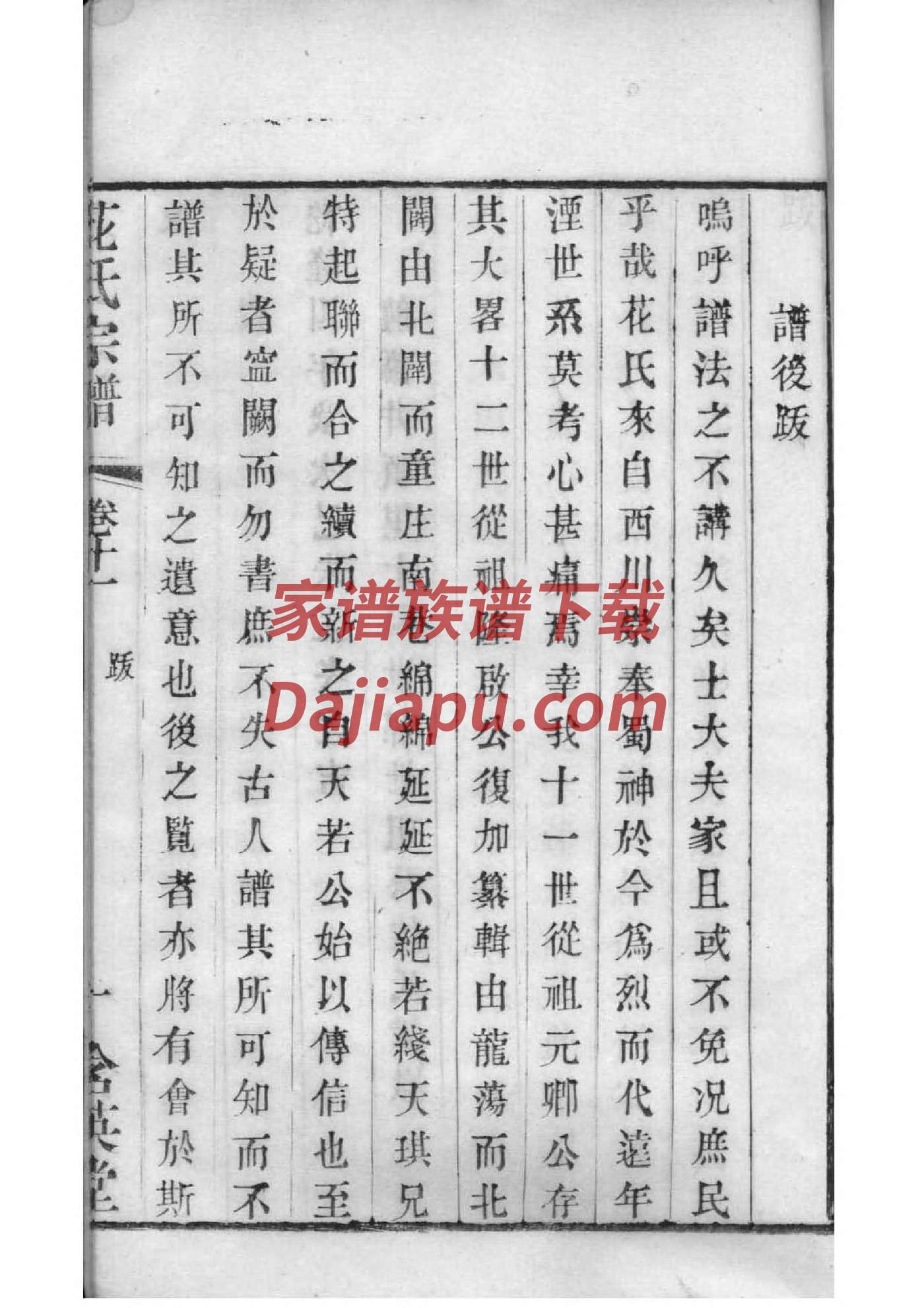 嵇氏族谱在哪里看