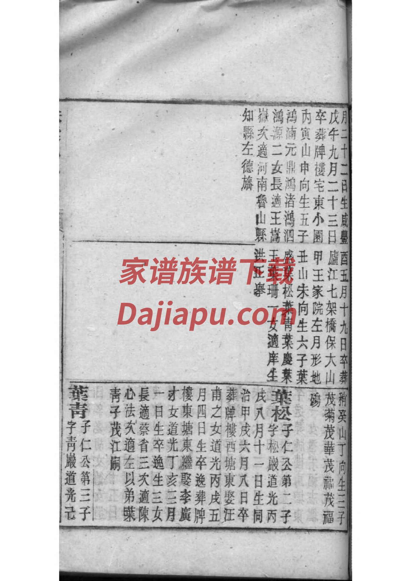 侍氏家谱查询一览表