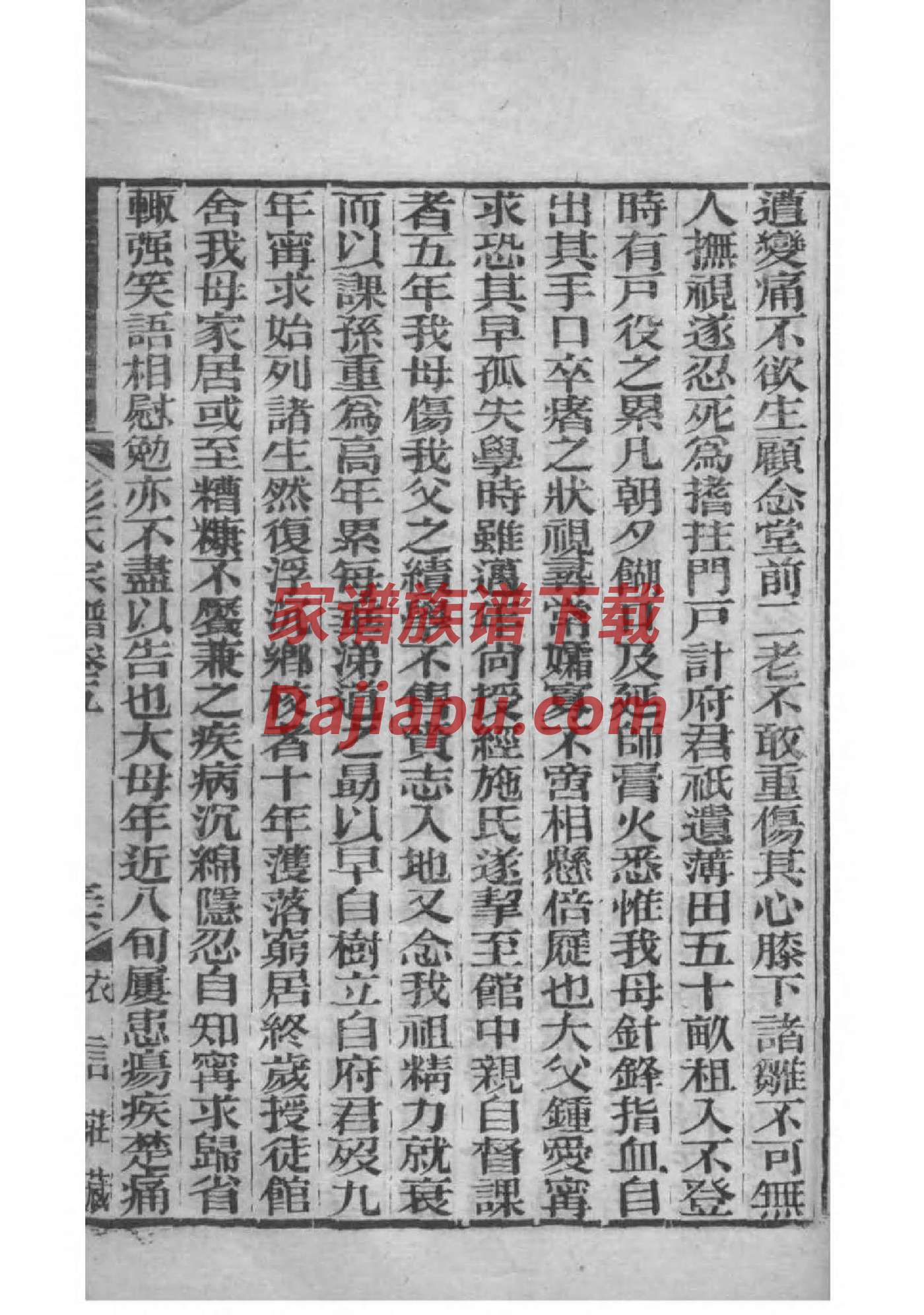 怎样写家谱后记