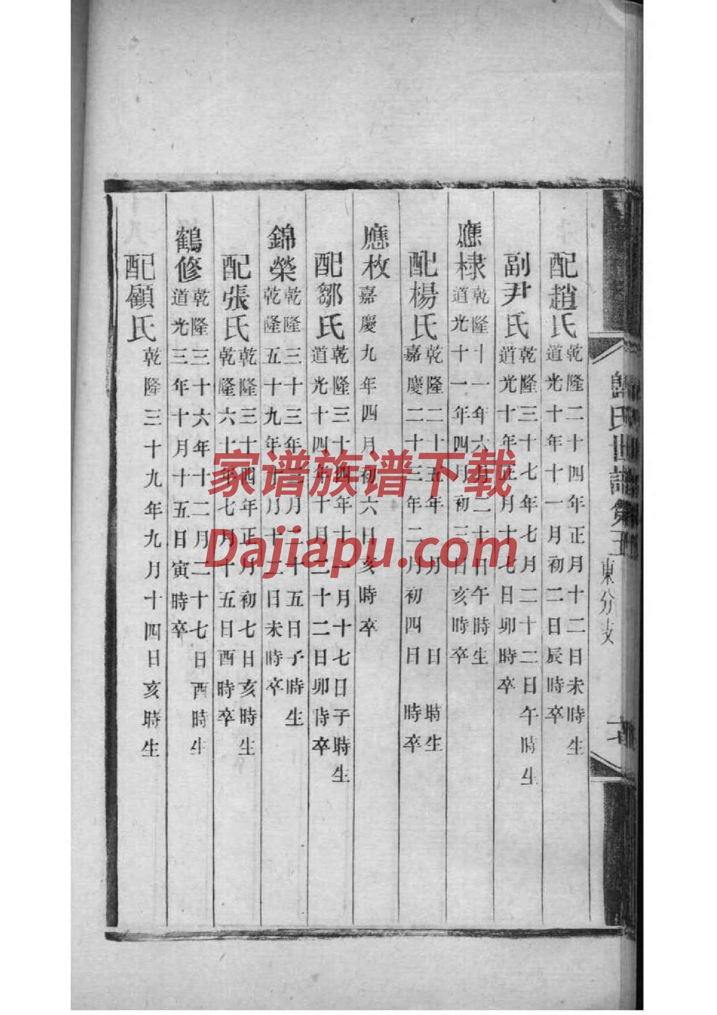卧虎藏龙祠堂打斗赏析