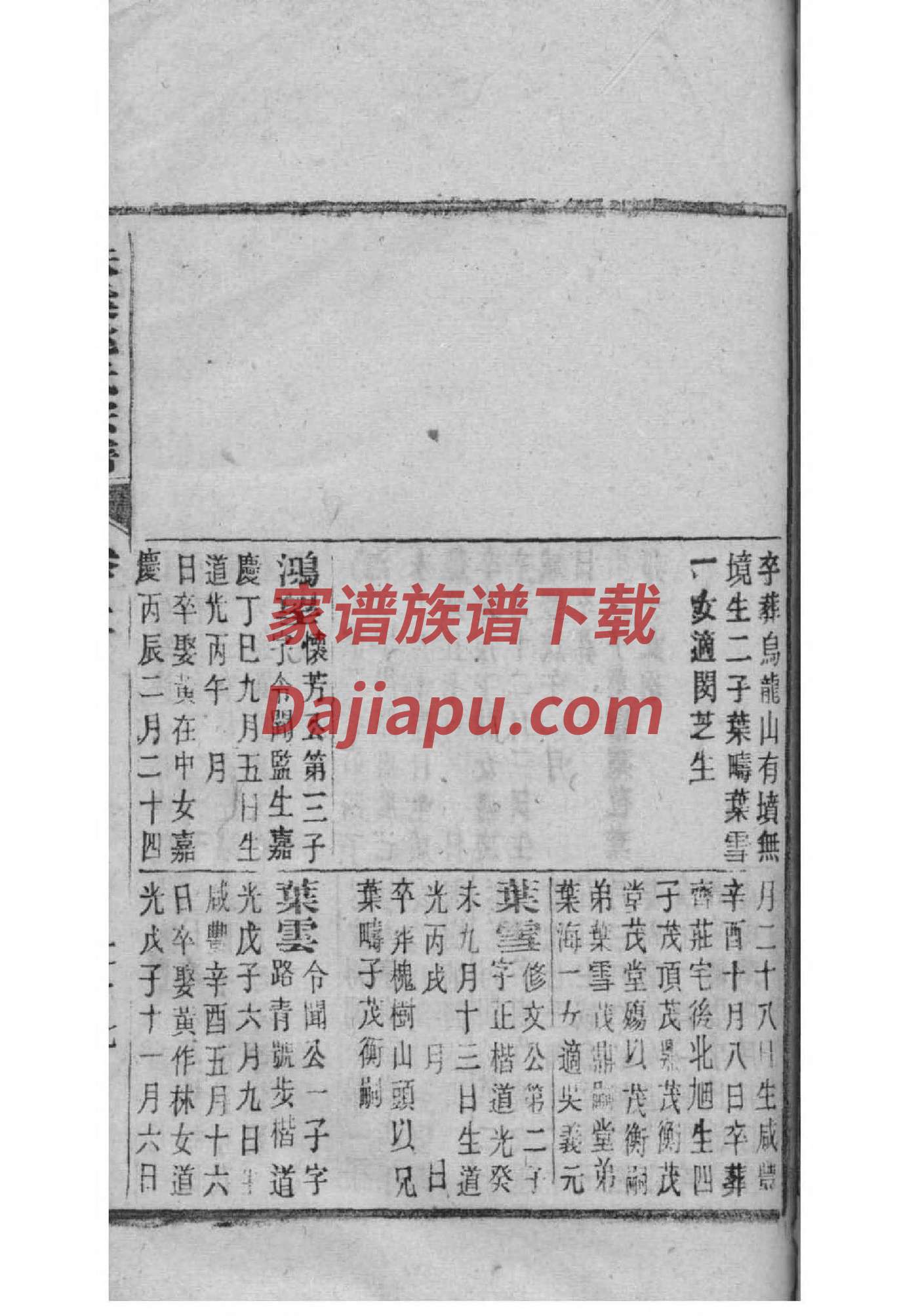 长沙杨氏族谱