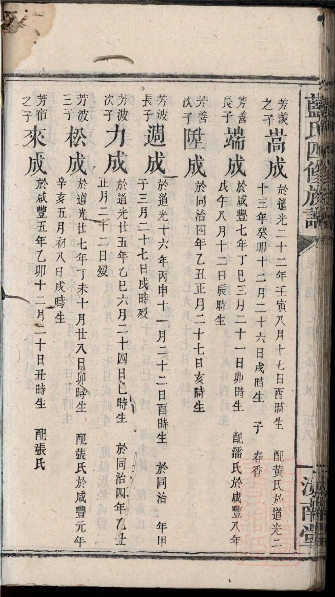 闽姓辈分排行世系表