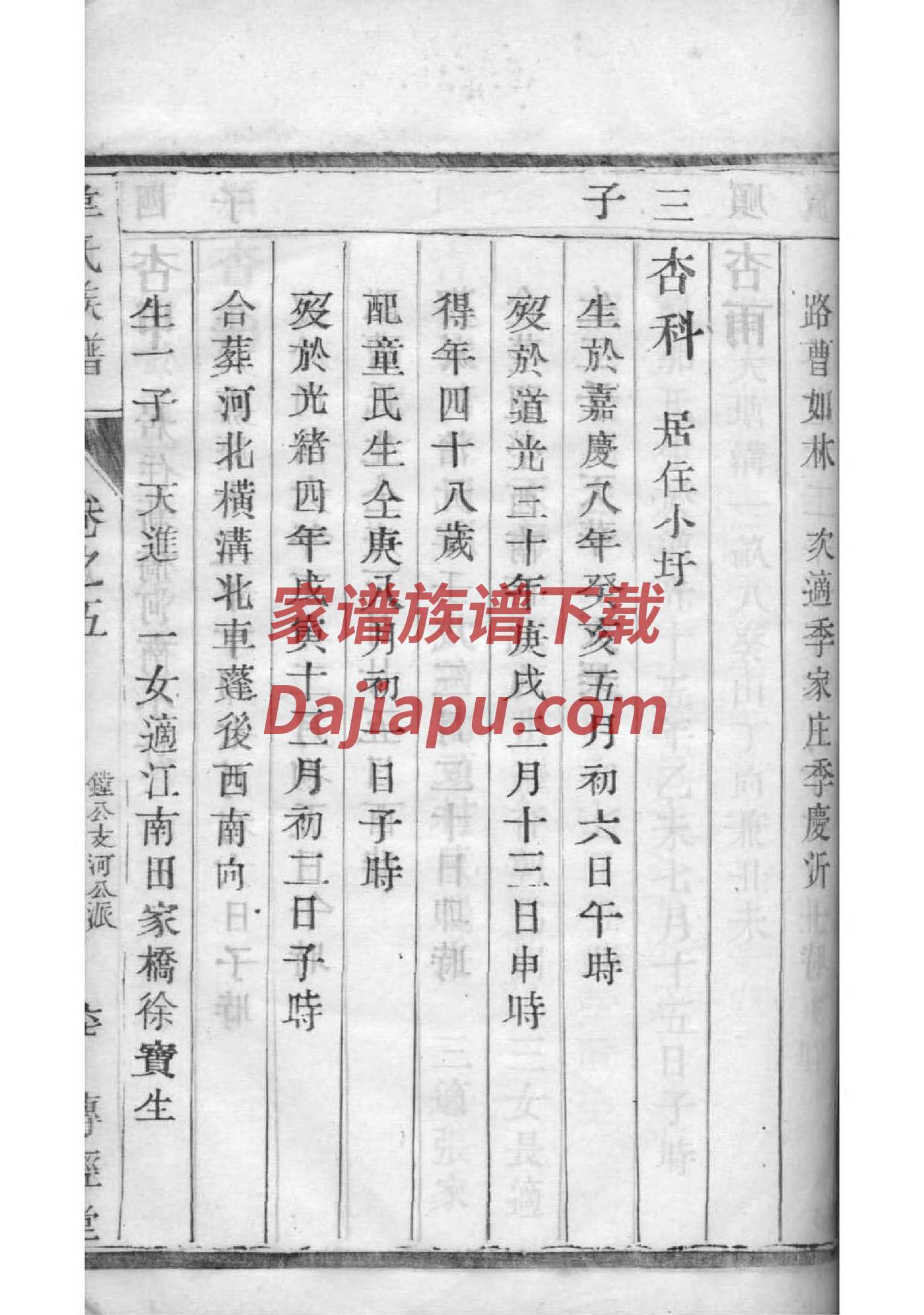 家谱英文音标