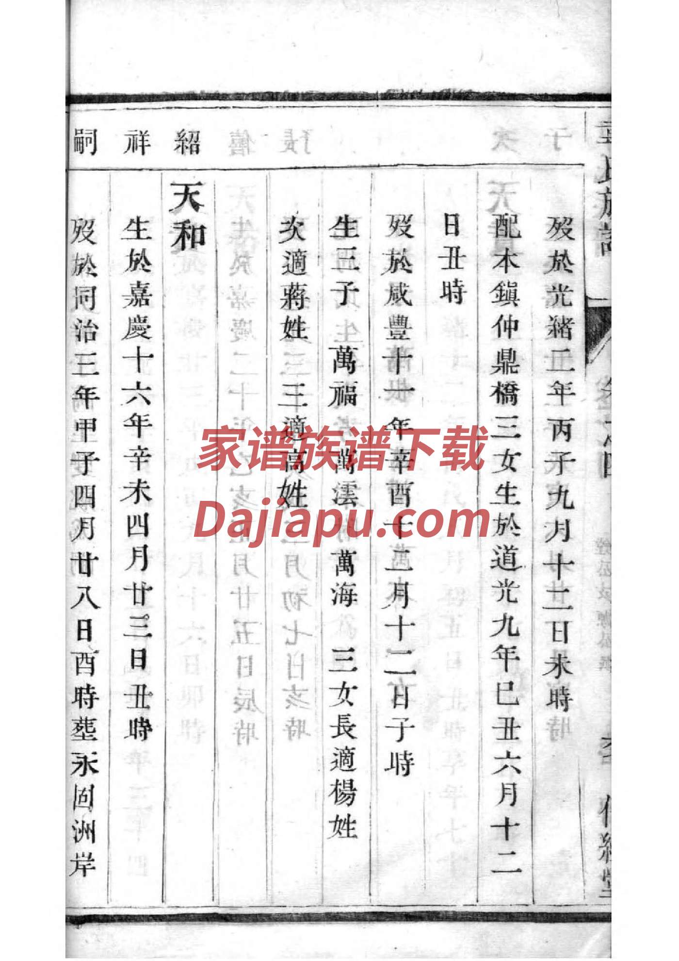 晋姓族谱字辈大全