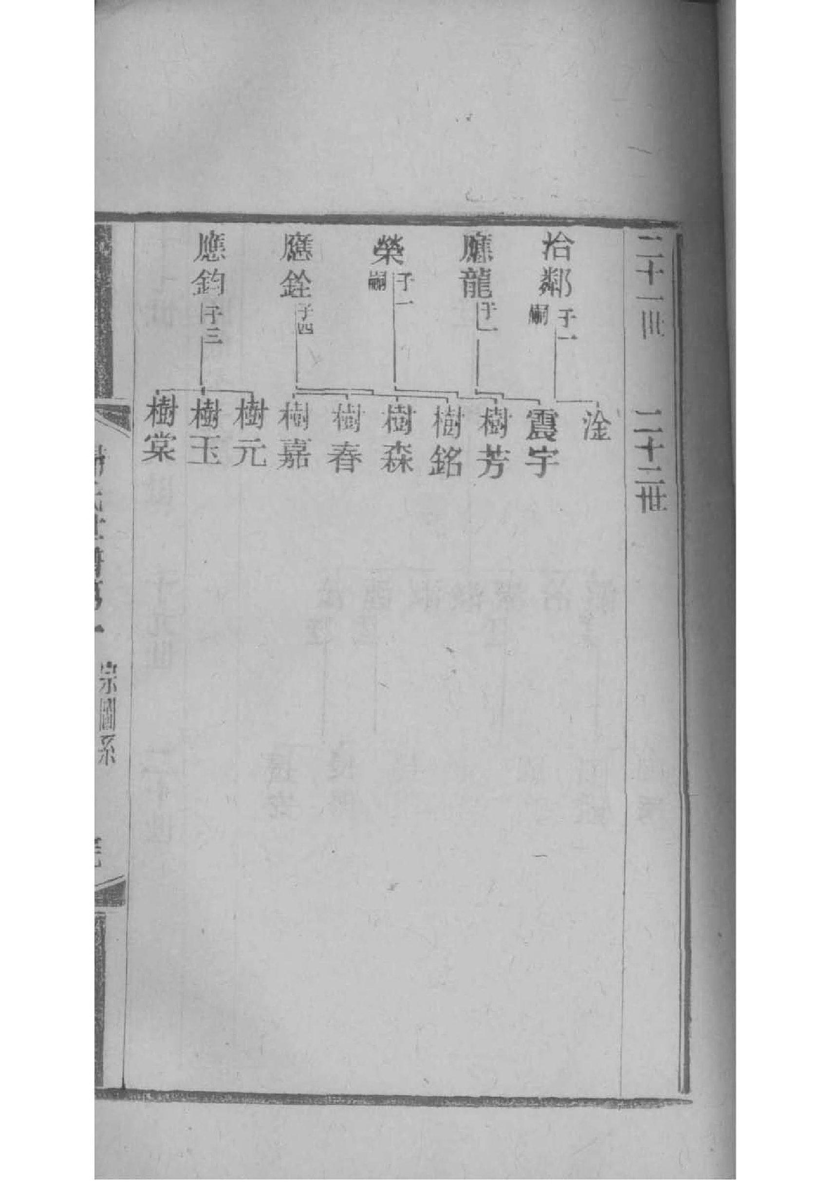 族记家谱