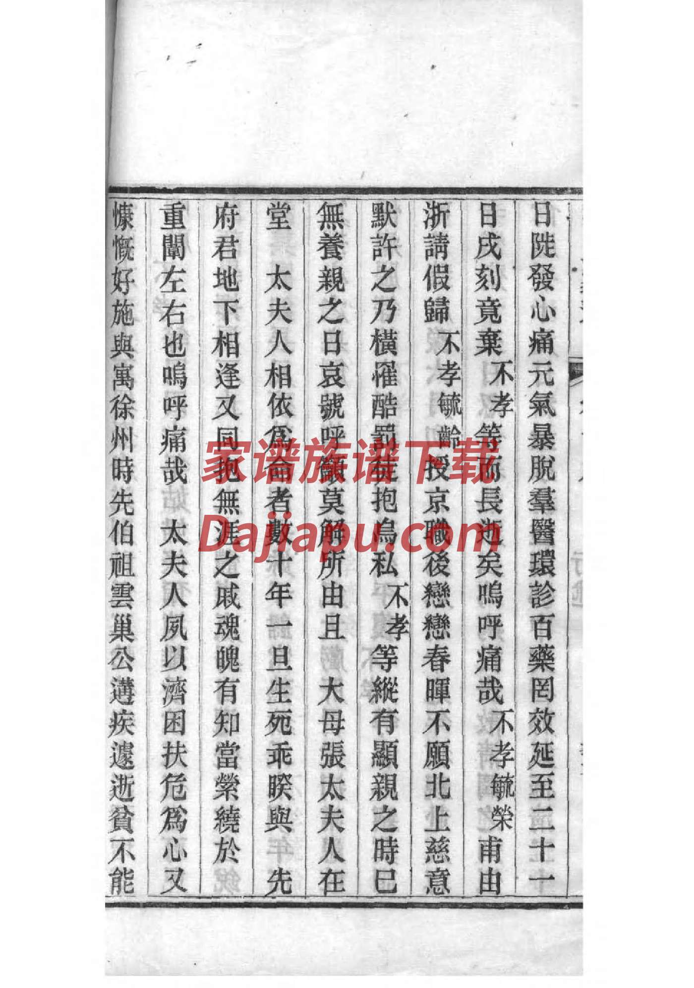 守姓族谱字辈排行