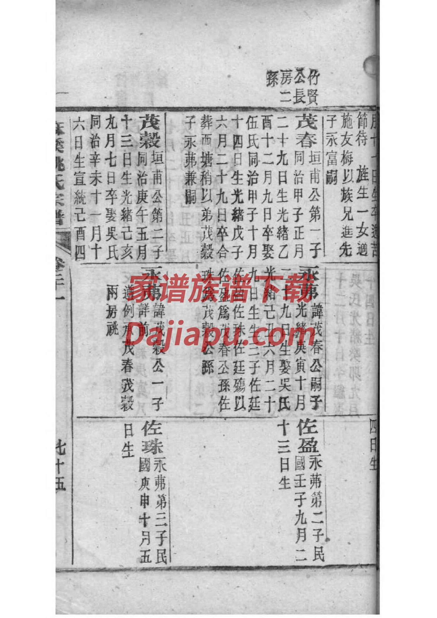家谱到哪里定做