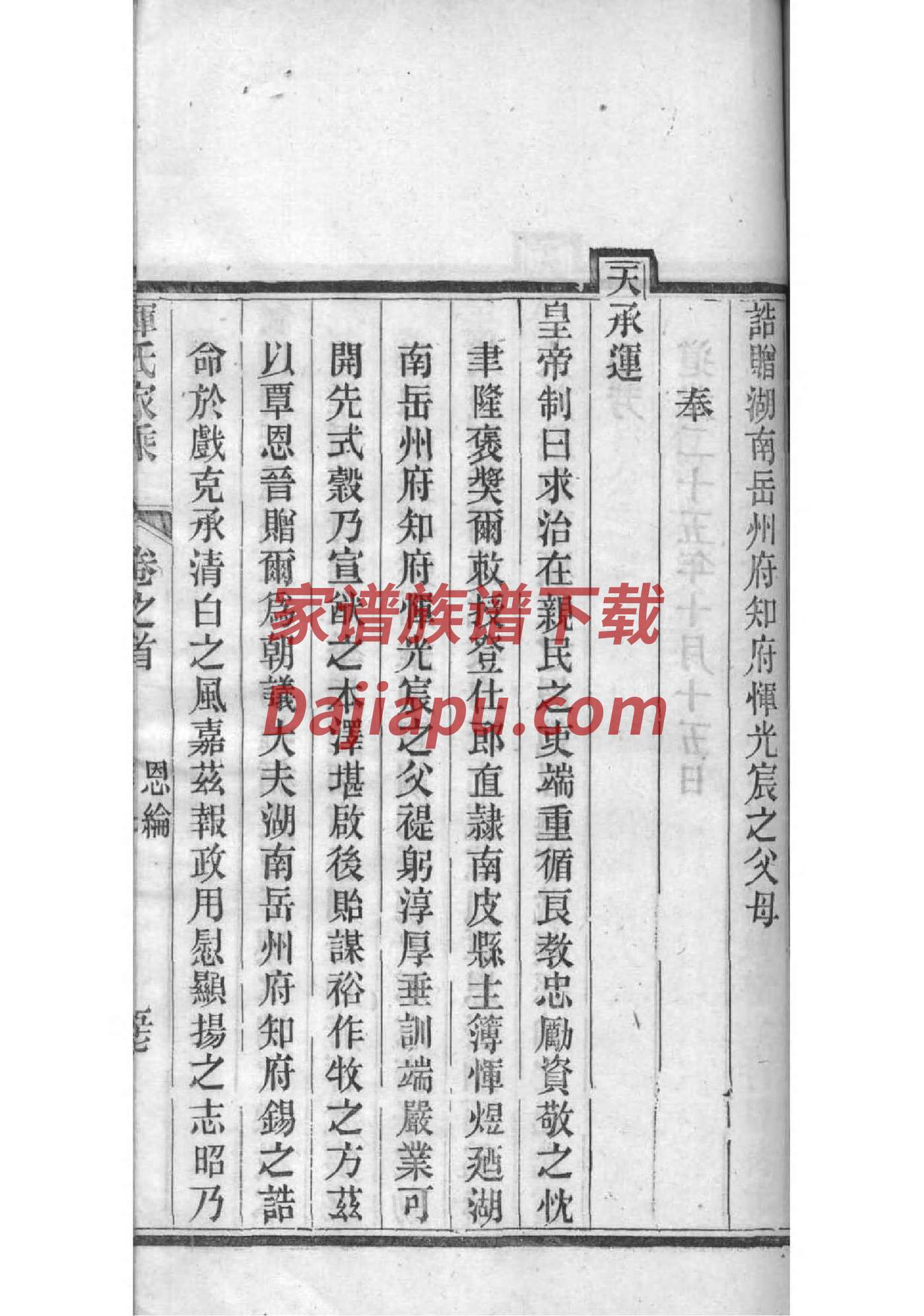 佛氏族谱字辈大全