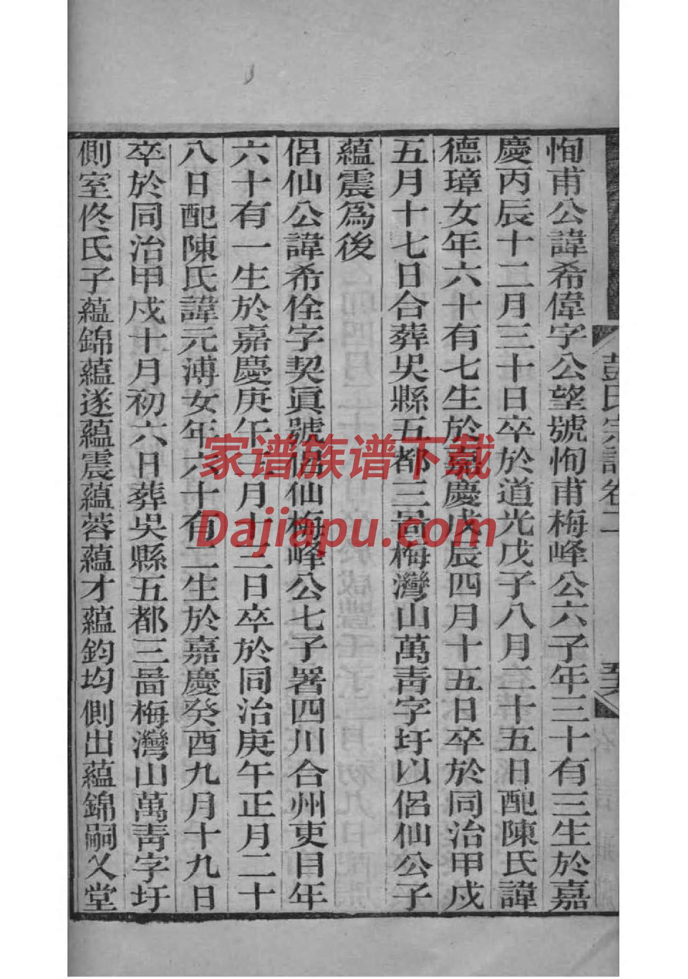 孔子家谱资料