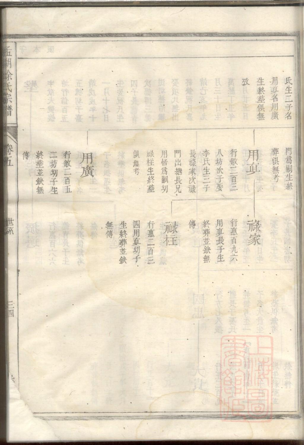 家谱封皮设计图片