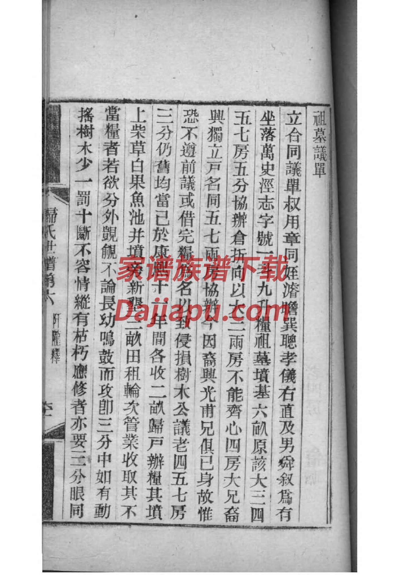 金姓家谱