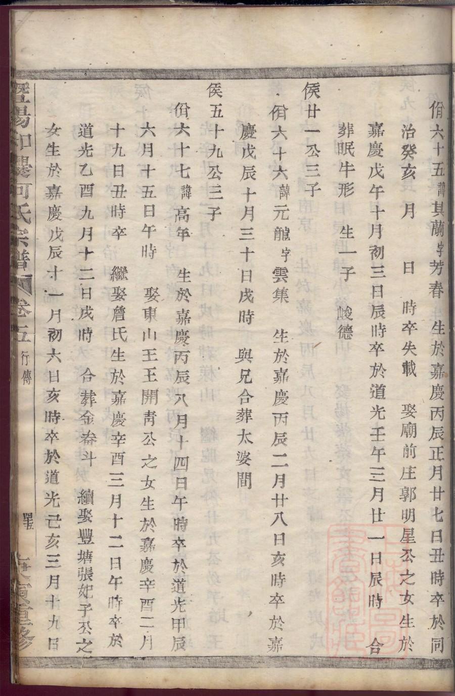 家谱人像挂图
