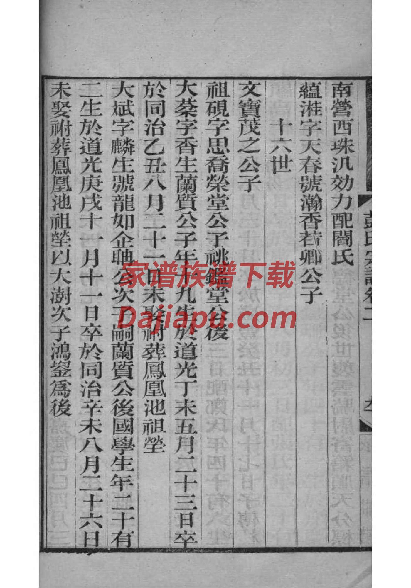 习氏族谱字辈大全