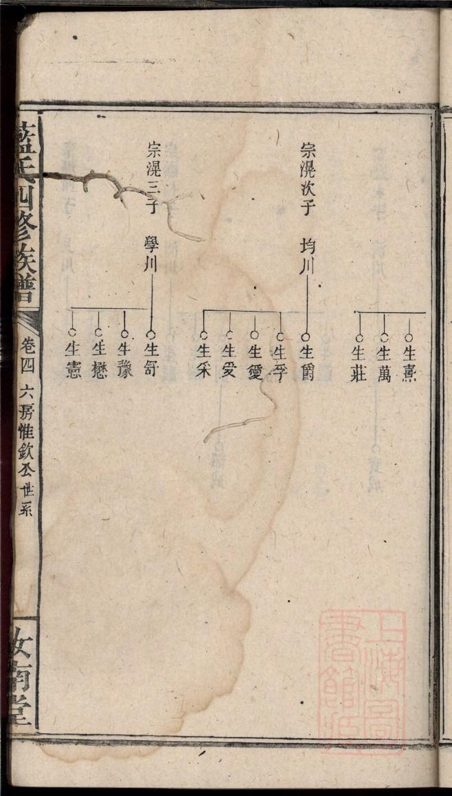 高晓松家谱图