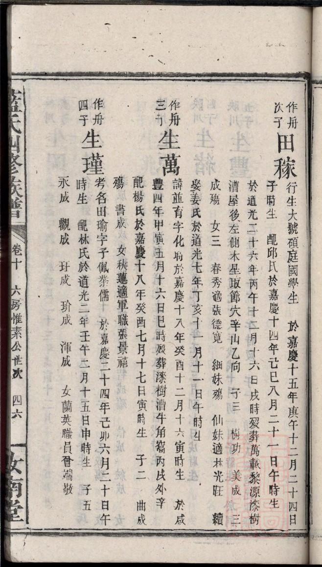 家谱编排
