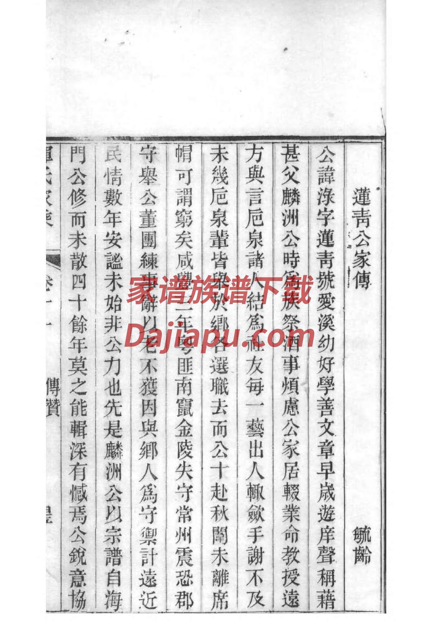 杨坚后代族谱