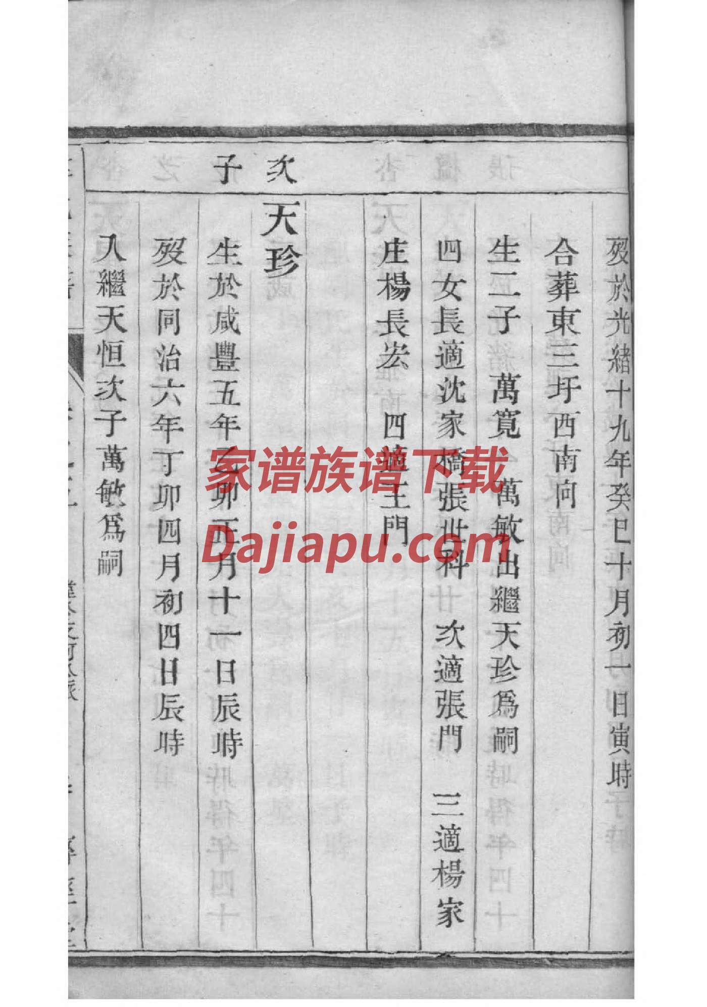 杨店杨家家谱