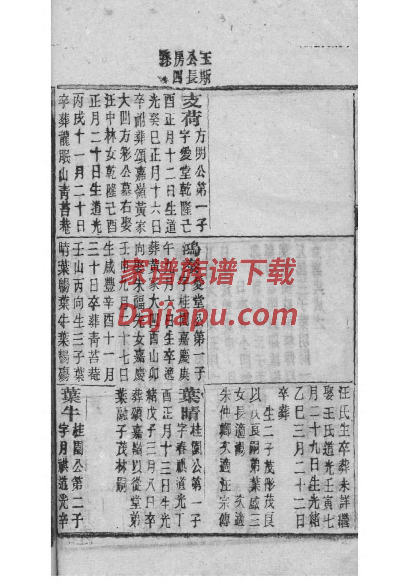 做家谱用什么软件