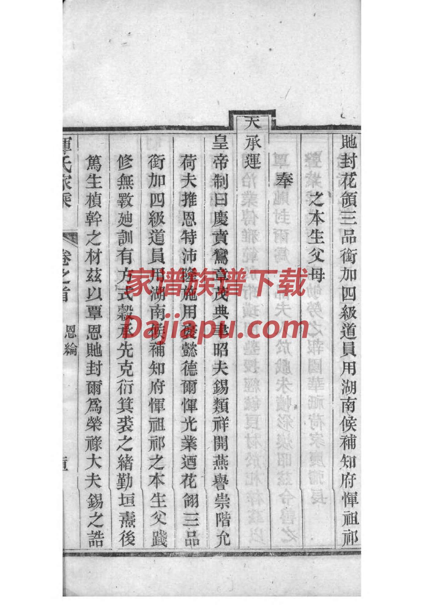 褒氏家谱查询一览表