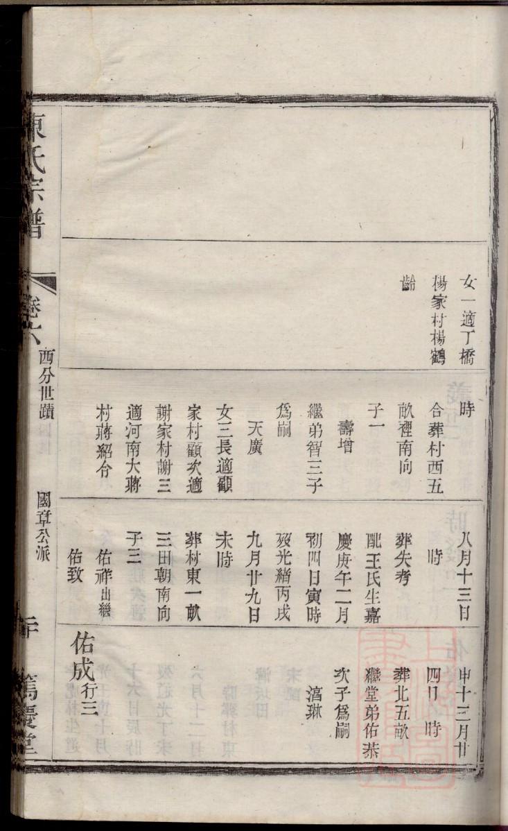 家谱图从视角