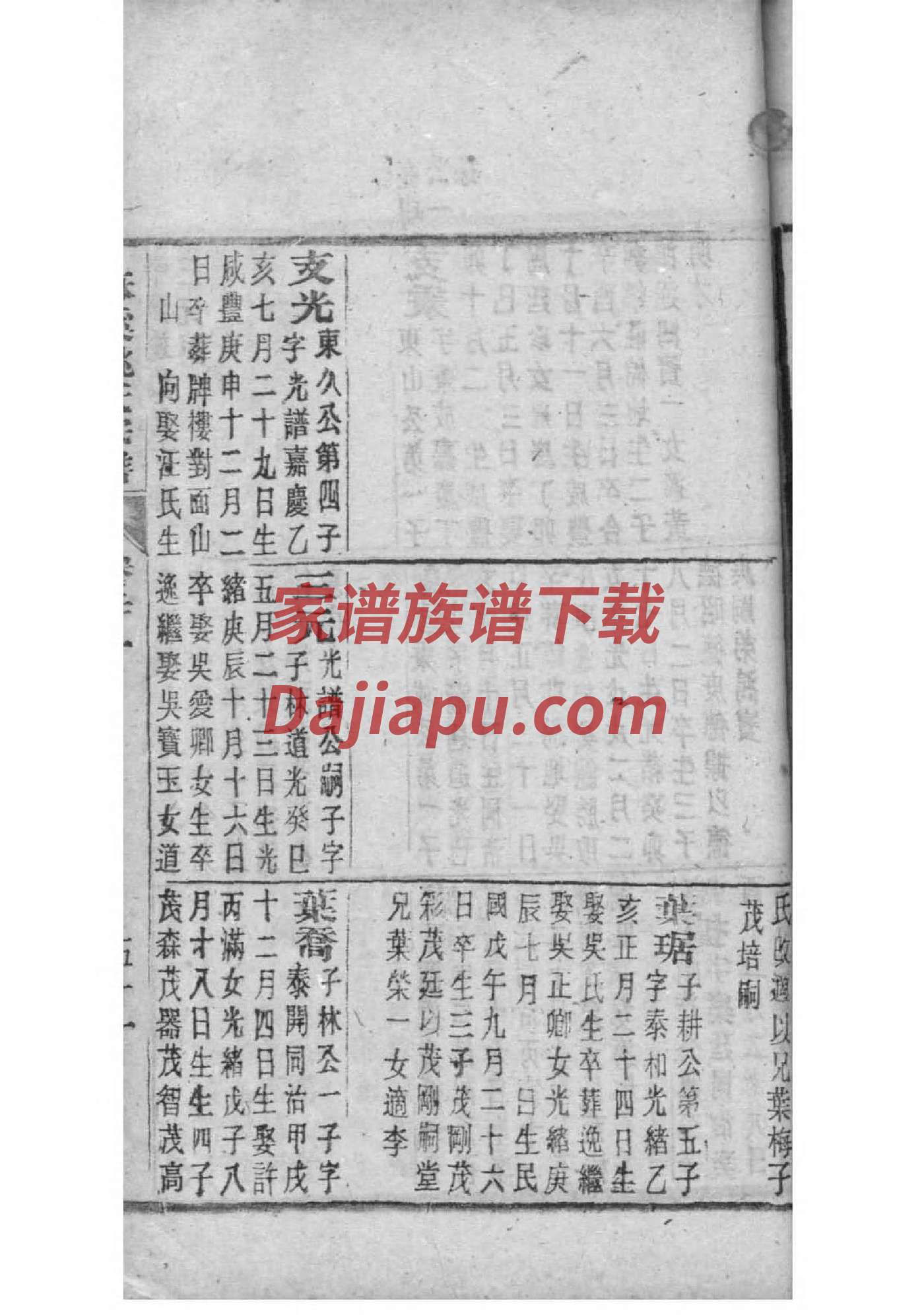 家谱封面要求