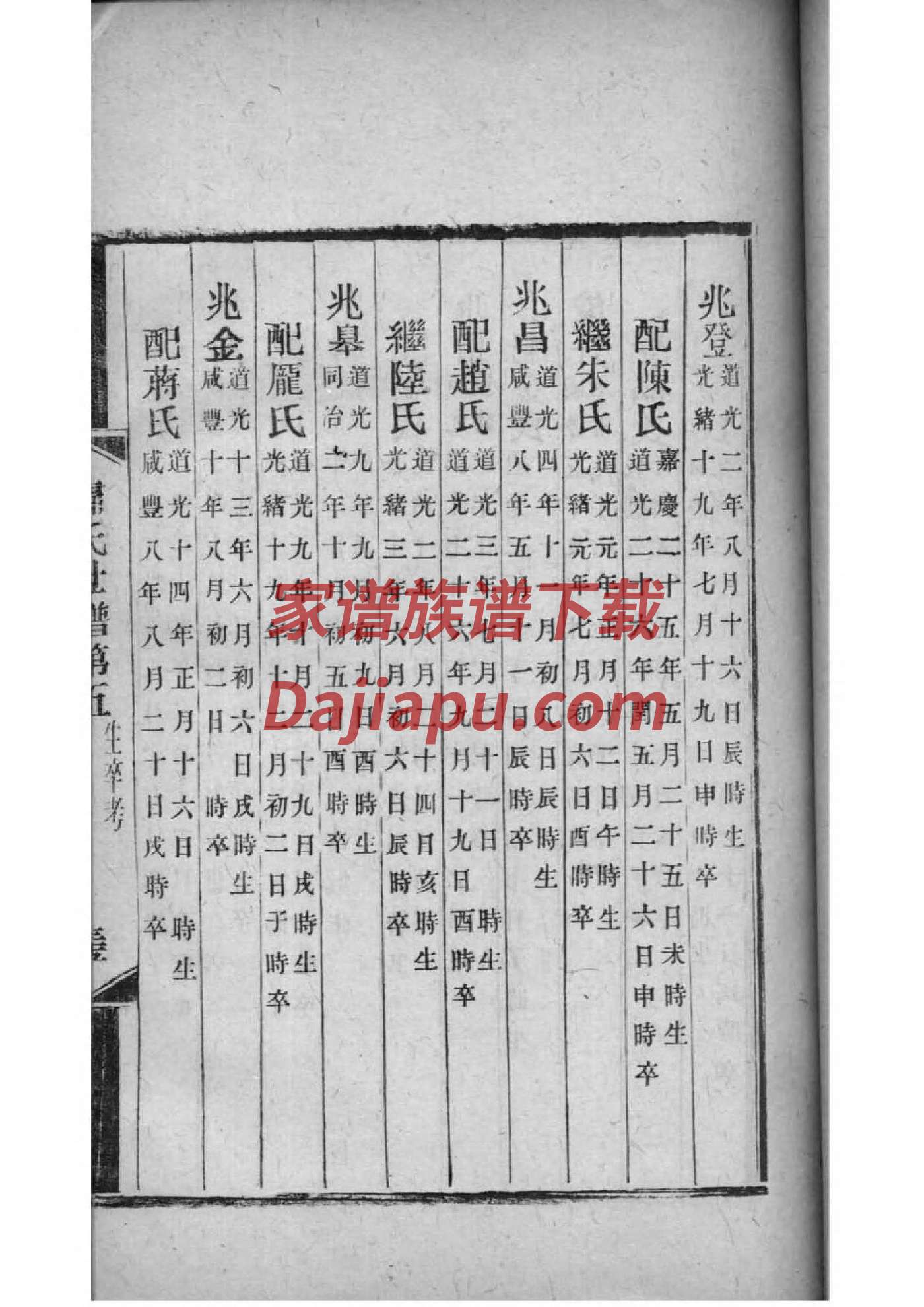 区姓辈分排行世系表