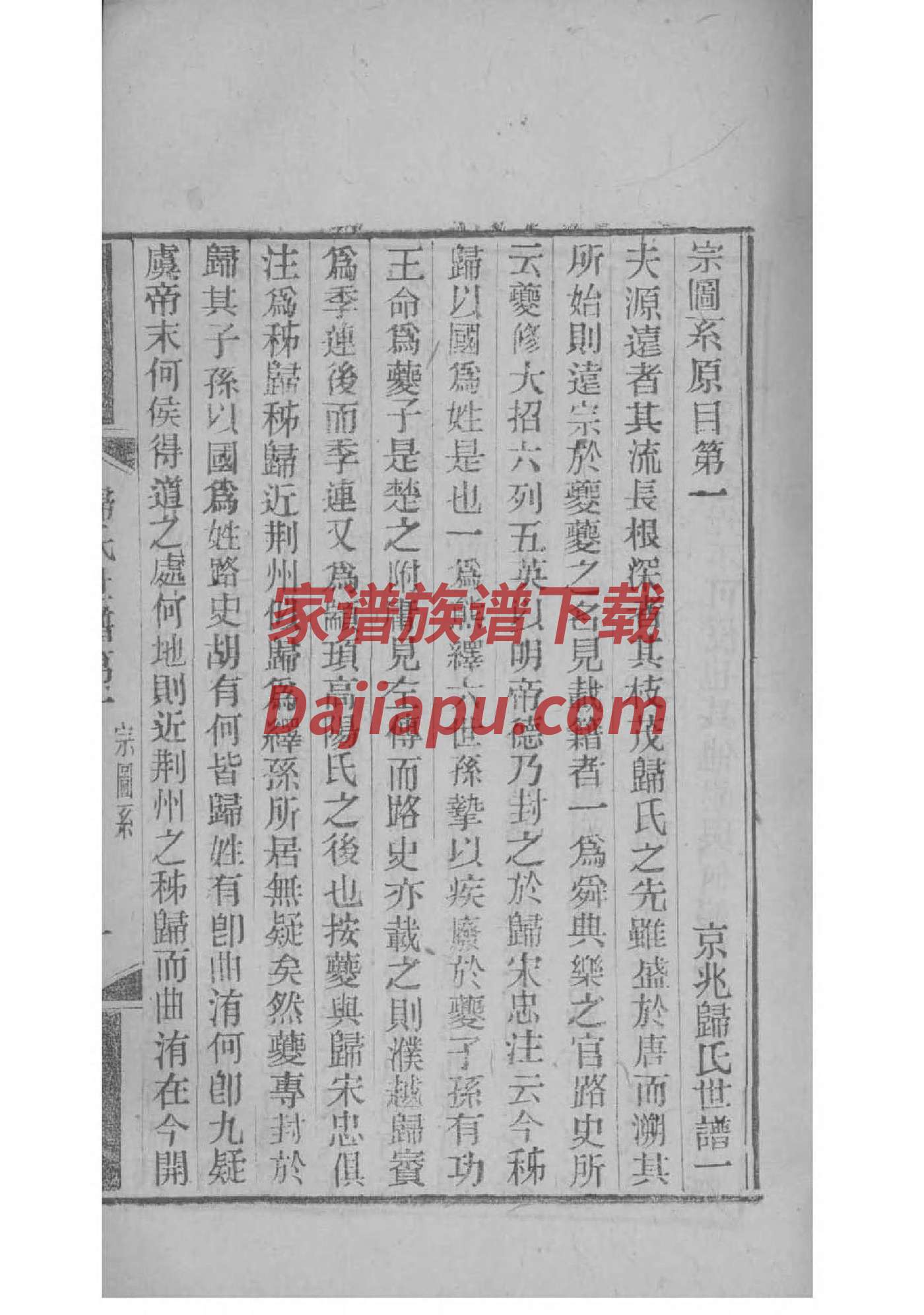 普姓辈分排行世系表