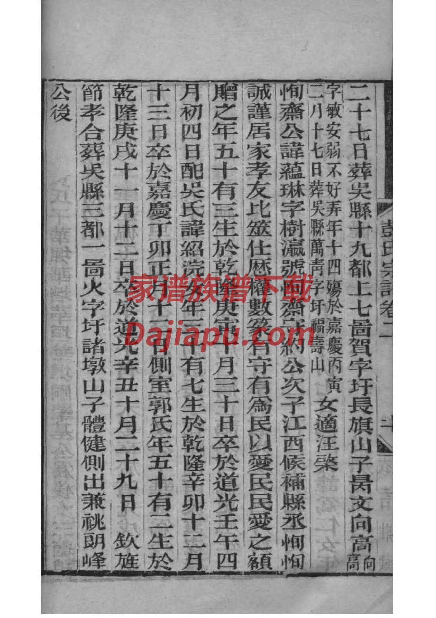 家谱的别称