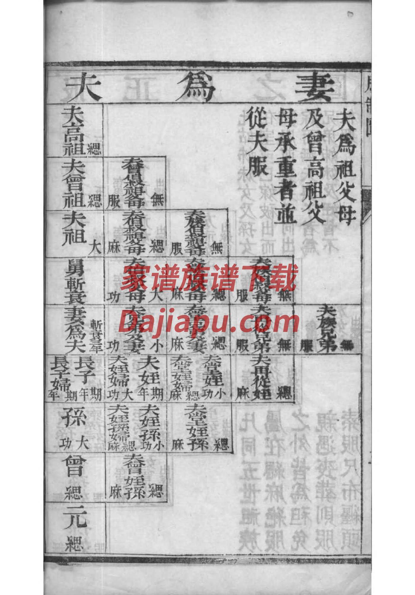 速氏的起源