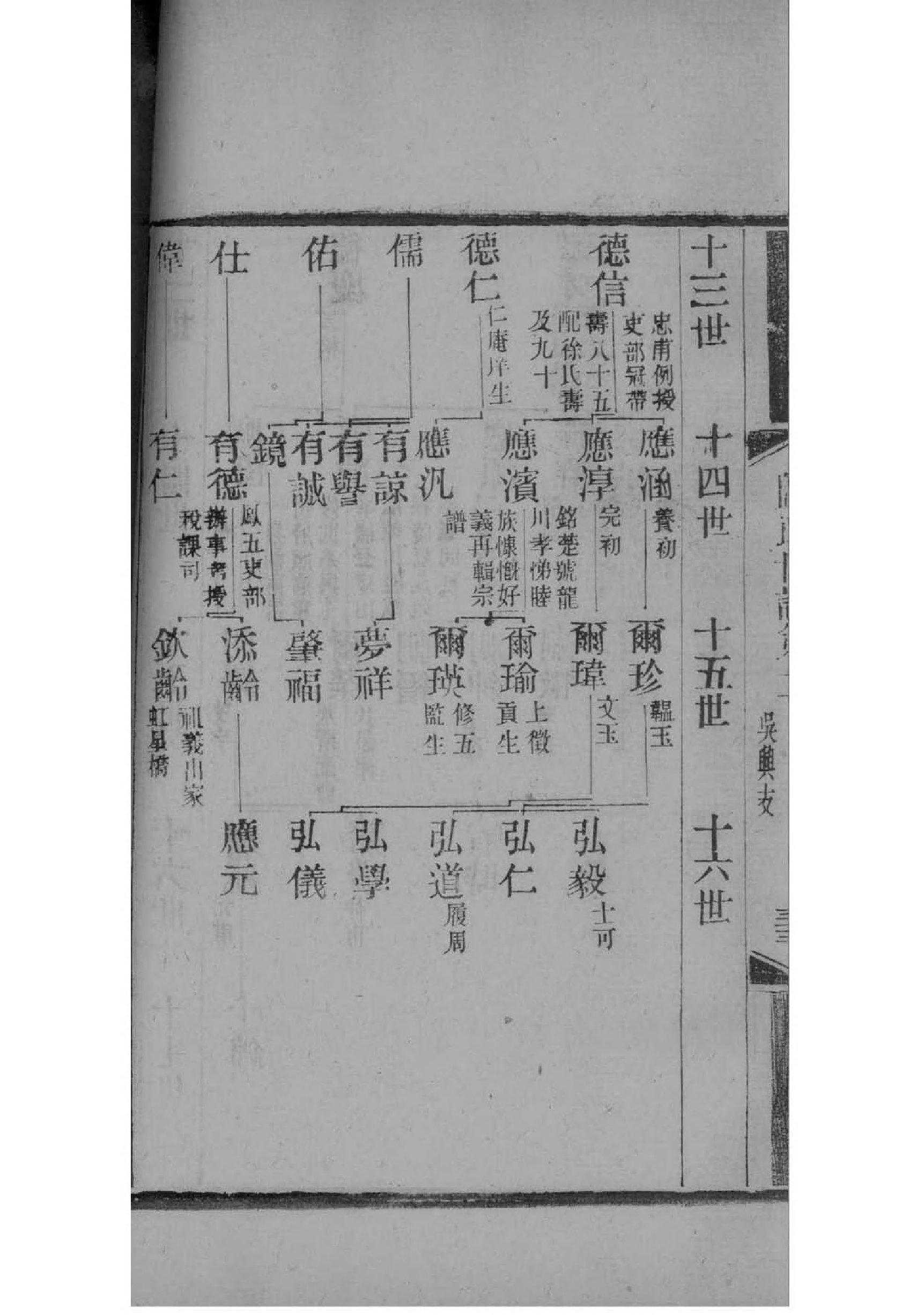 赧姓族谱字辈查询全部