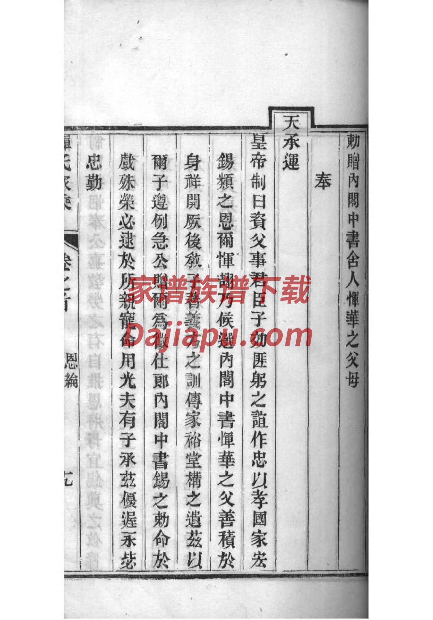 真姓辈分排行世系表