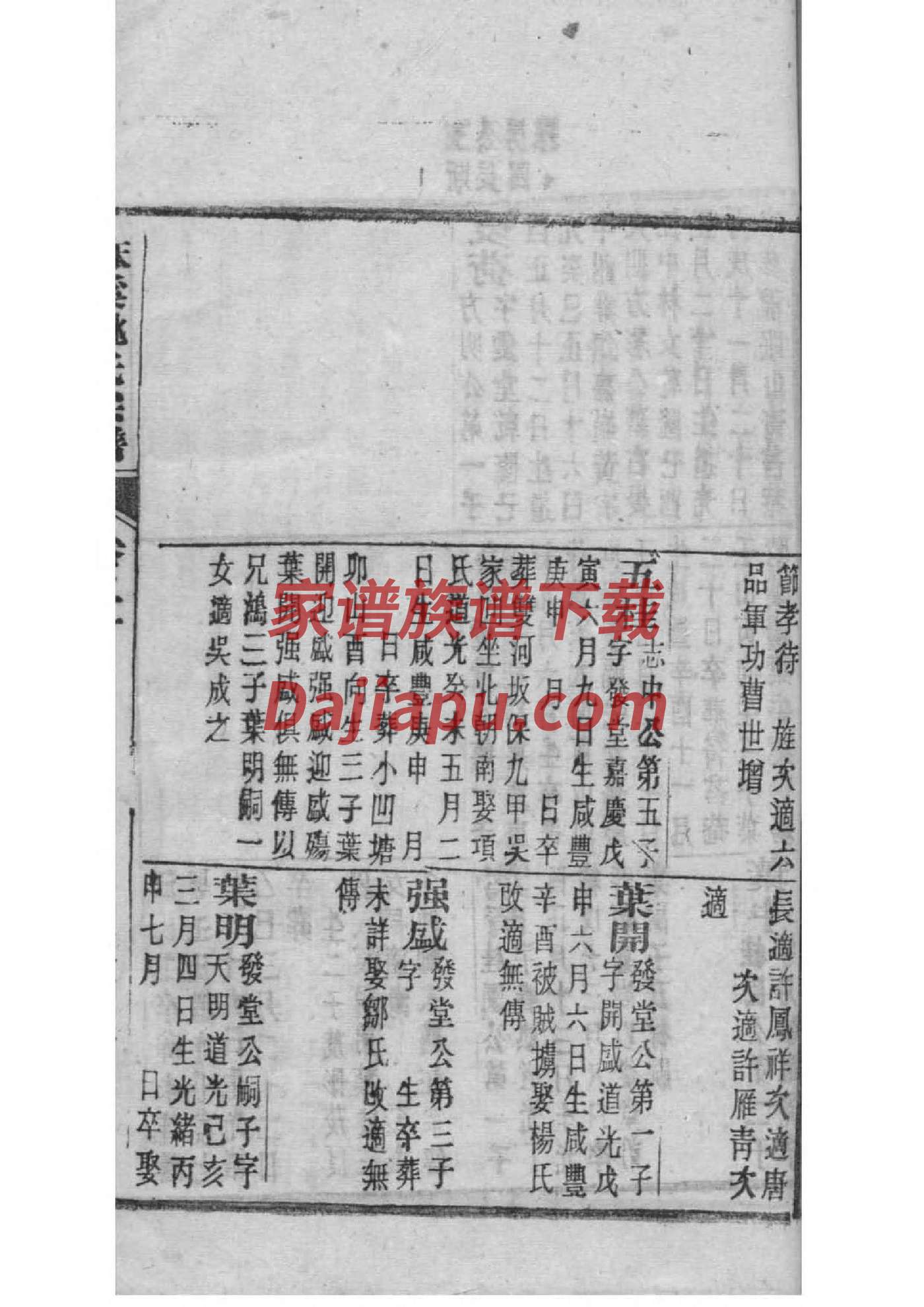 表氏家谱族谱数据库